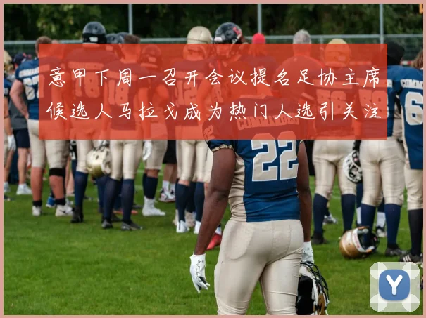 意甲下周一召开会议提名足协主席候选人马拉戈成为热门人选引关注